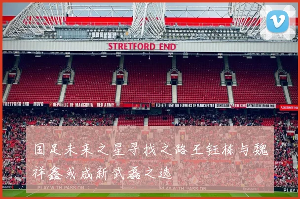 国足未来之星寻找之路王钰栋与魏祥鑫或成新武磊之选