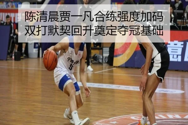 陈清晨贾一凡合练强度加码 双打默契回升奠定夺冠基础（yabo）